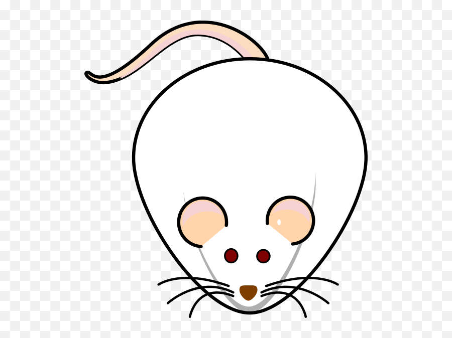 Balb C Mice Png Clipart - Full Size Clipart 1327151 Cartoon,Mice Png ...