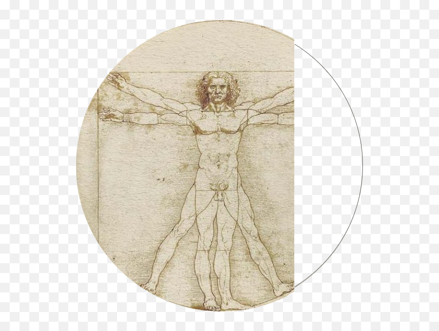 Leonardo Da Vinci Vitruvian Collection - Leonardo Da Vinci A Scientist Png,Vitruvian Man Png