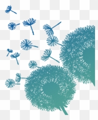 Dandelion Png Free 4 Image - Vector Transparent