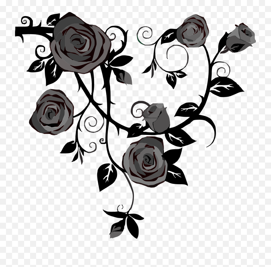 Gray Roses No Background Clip Art - Vector Clip Black Roses Clip Art Png,White Rose Transparent Background