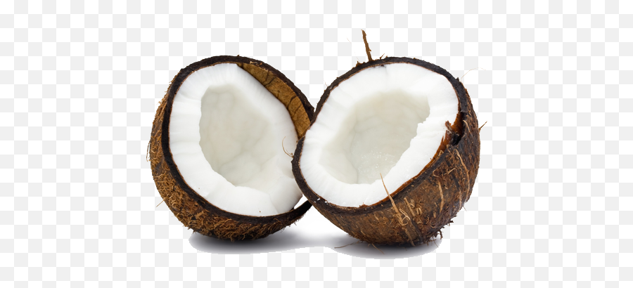 Coconut Png Transparent Images - Coconut Free,Coconuts Png