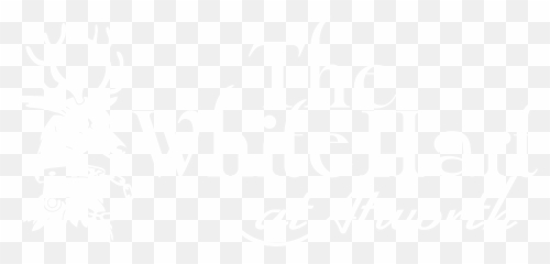 Skittles - Calligraphy png