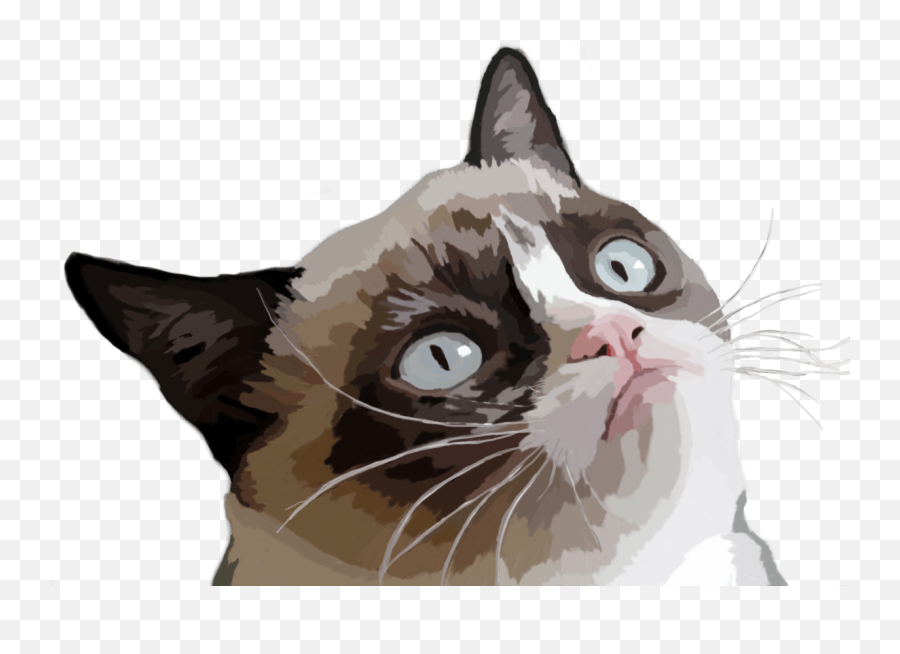 Grumpy Cat Vector Illustration Transparent Png - Stickpng Cat Meme Transparent Png,Cat Eyes Png
