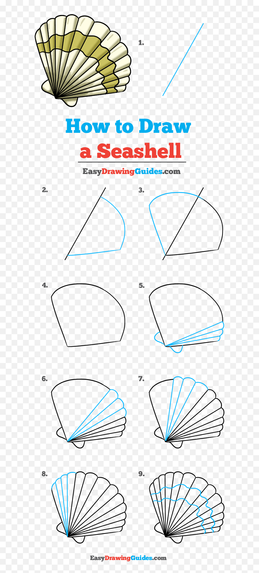 How To Draw A Seashell - Really Easy Drawing Tutorial Step By Step Celtic Knot Drawing Png,Seashell Transparent