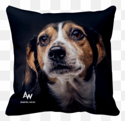 Poduszka Sad Eyes - Cushion Png,Sad Eyes Png