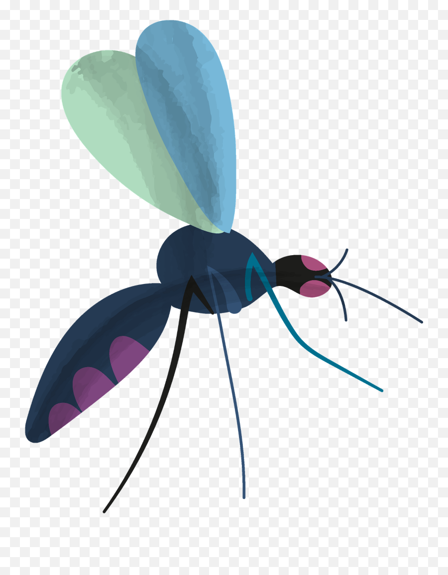 Mosquito Clipart Free Download Transparent Png Creazilla - Mosquito Clipart Png Transparent,Insect Png