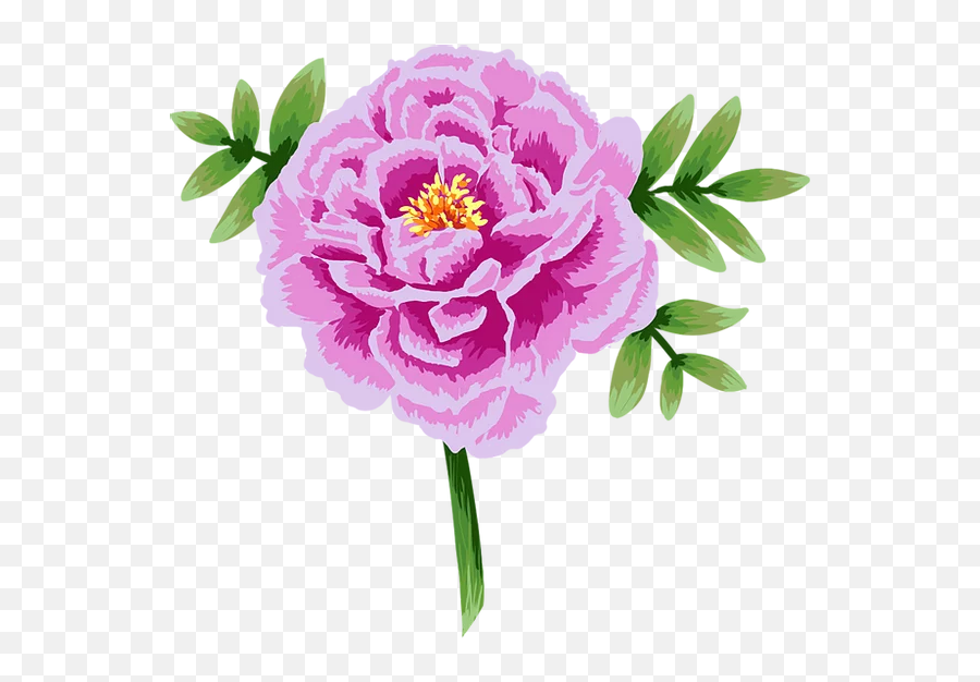 Tattoodesigns - Common Peony Png,Peony Png