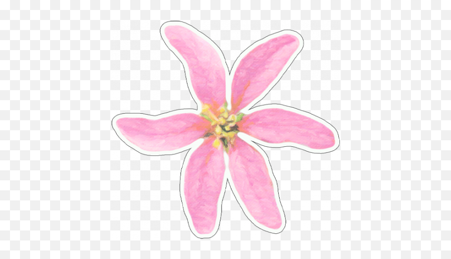 Pink Watercolor Flower Sticker Graphic - Girly Png,Pink Watercolor Png