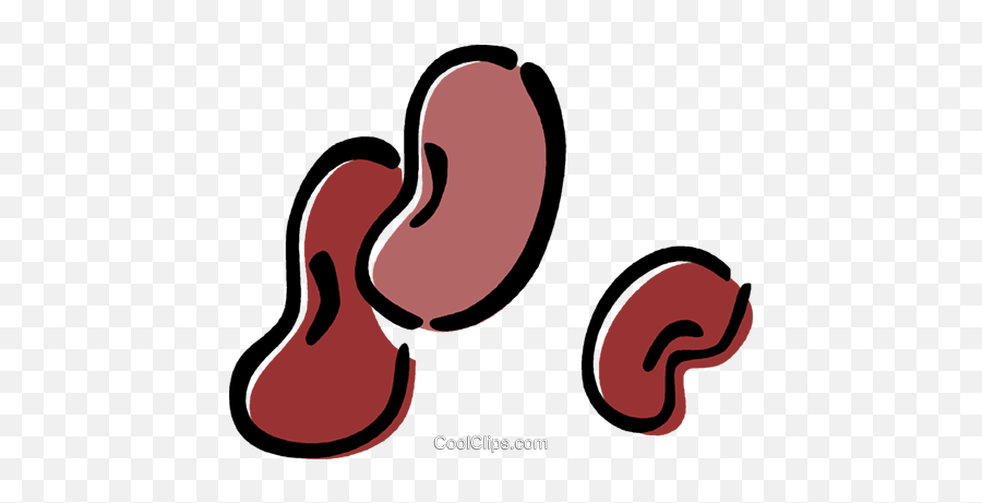 Kidney Bean Royalty Free Vector Clip - Kidney Beans Graphic Png,Kidney Png