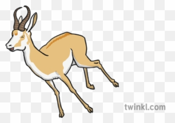 Antelope 4 Illustration - Twinkl Animal Figure Png,Antelope Png