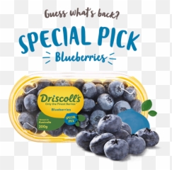 Fresh Berries - Superfood Png,Berry Png