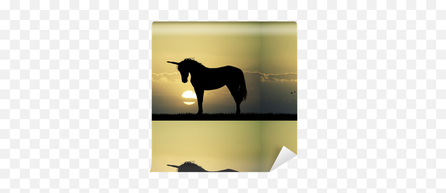 Unicorn Silhouette Wallpaper U2022 Pixers We Live To Change - Stallion Png,Unicorn Silhouette Png