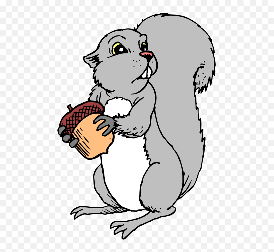 Free Png Images - Dlpngcom Gray Squirrel Clipart,Squirrel Clipart Png