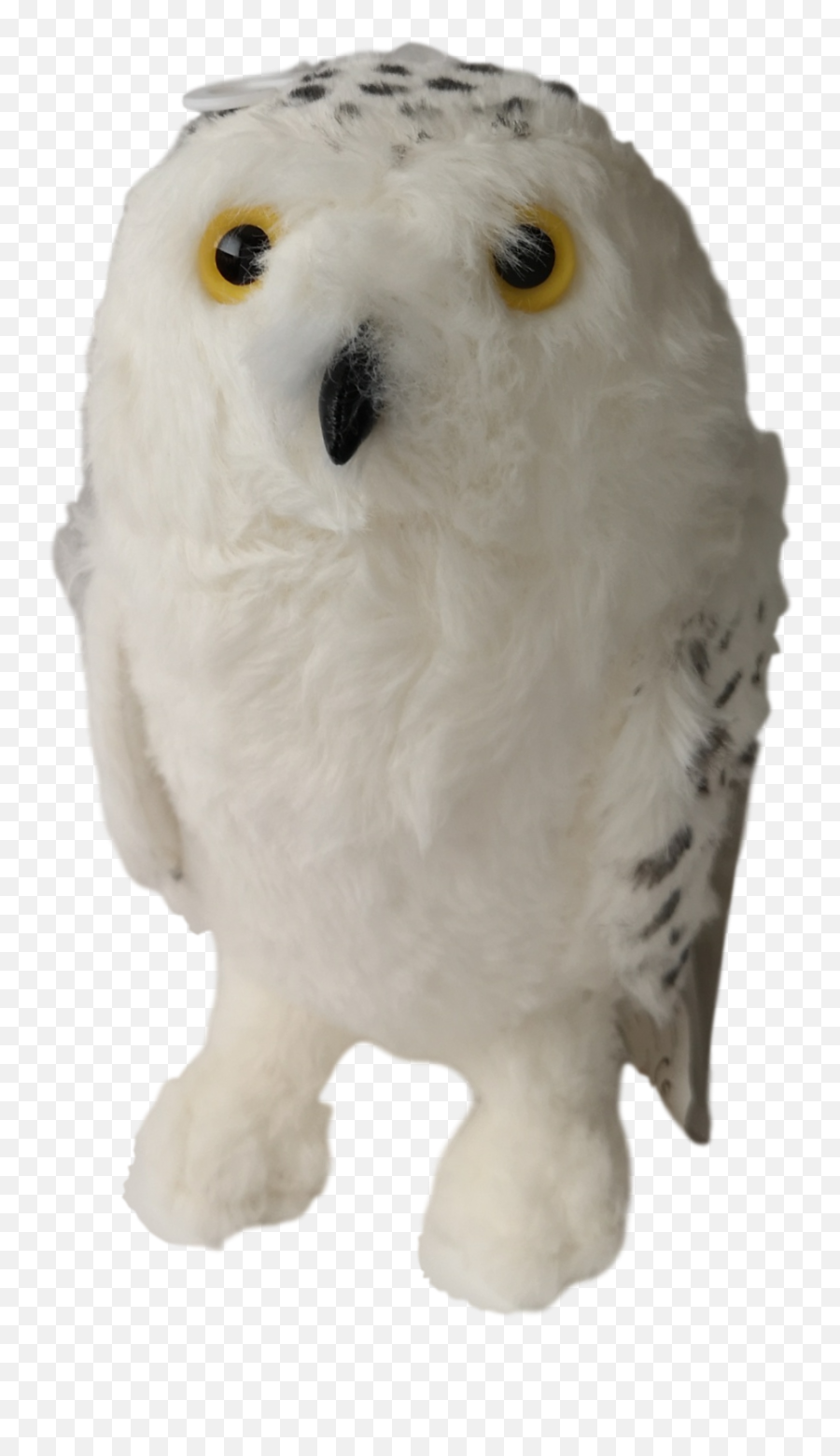 Hedwig Plush - Snowy Owl Png,Hedwig Png