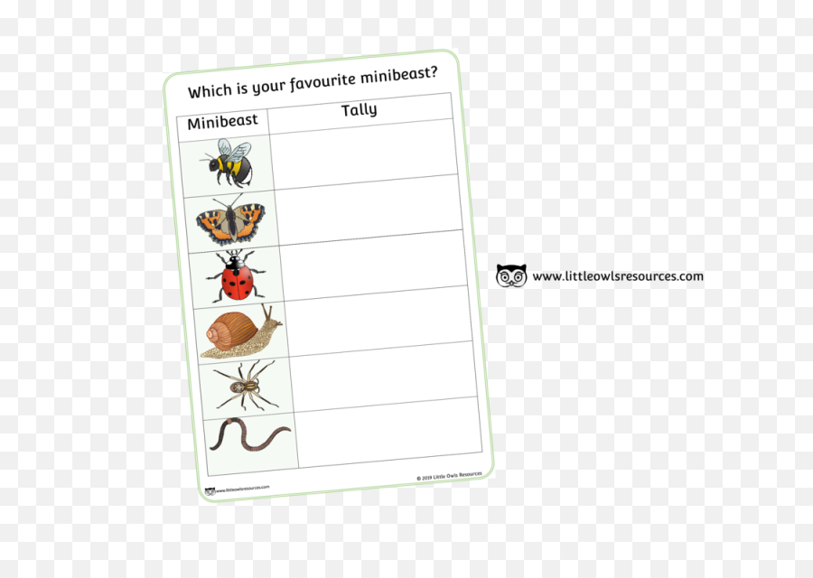 Free Minibeasts Tally Printable Early - Minibeast Tally Chart Png,Tally Marks Png