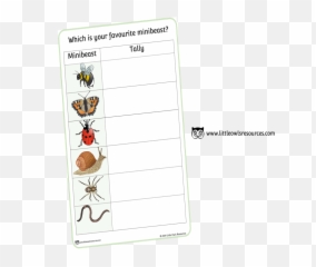 Free Minibeasts Tally Printable Early - Chart png