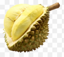 Download Durian Monthong Fruit Thailand - Durian Png,Durian Png