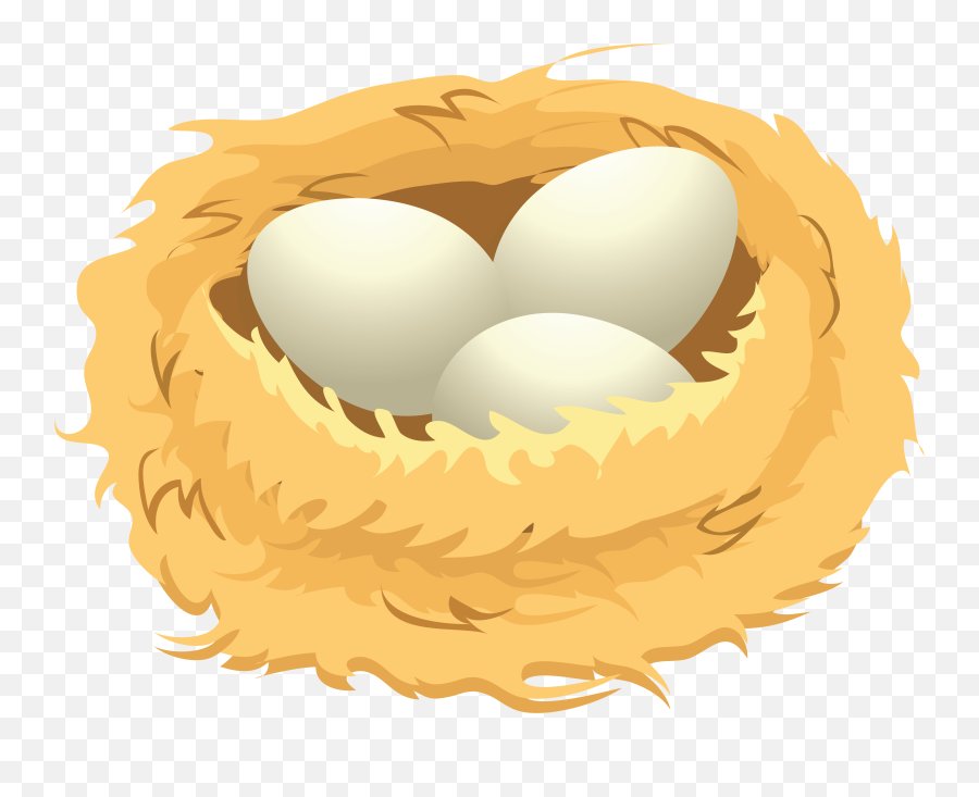Nest Png - Eggs In Nest Clipart,Nest Png