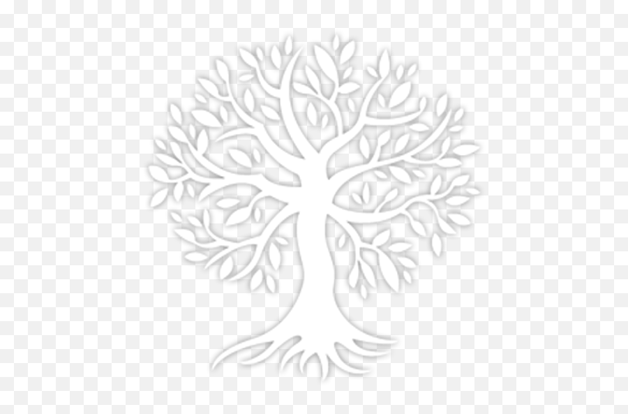 Adopt An Olive Tree - White Olive Tree Png,Olive Branch Icon
