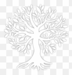 Adopt An Olive Tree - White Png