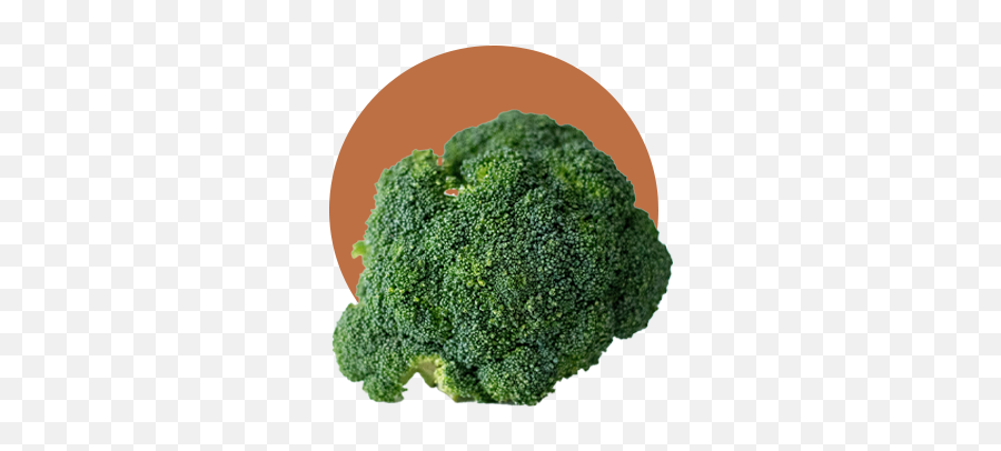 Leaf And Ginger - Broccolini Png,Ginger Icon