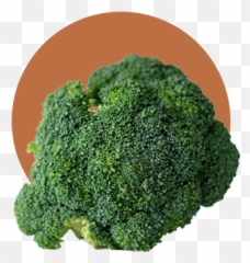 Leaf And Ginger - Broccolini png