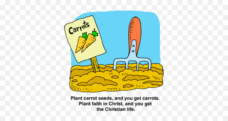 Carrot Garden - Planting Carrots Clip Art Png,Icon Reap Sow