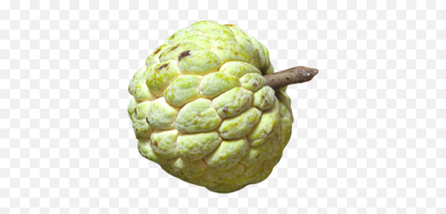 Download Apple Fruit Free Png Transparent Image And Clipart - Custard Apple Png Cute,Apple Clipart Transparent Background
