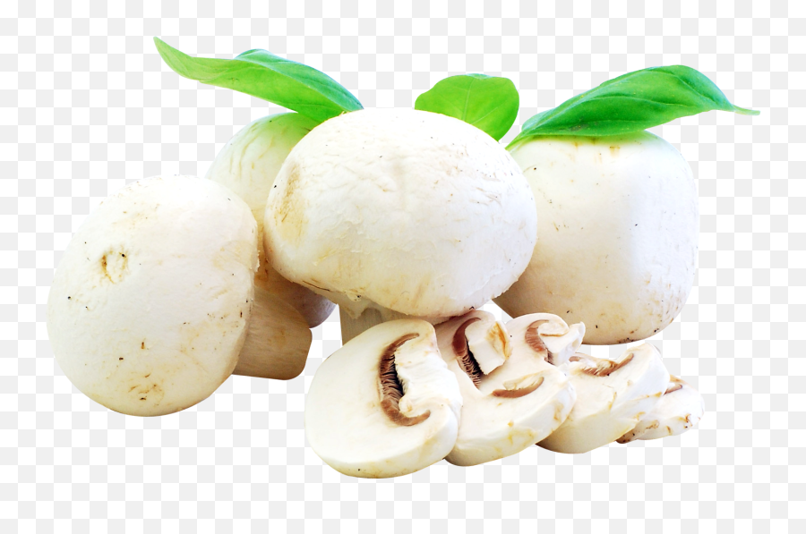 Download Free Png Mushroomfood - Dlpngcom Fresh Mushrooms Png,Mushroom Png