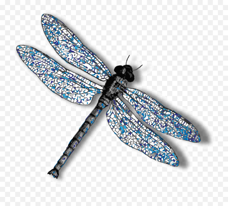 Download Dragonfly Png Background Image - Transparent Background Dragonfly Clipart,Dragonfly Png