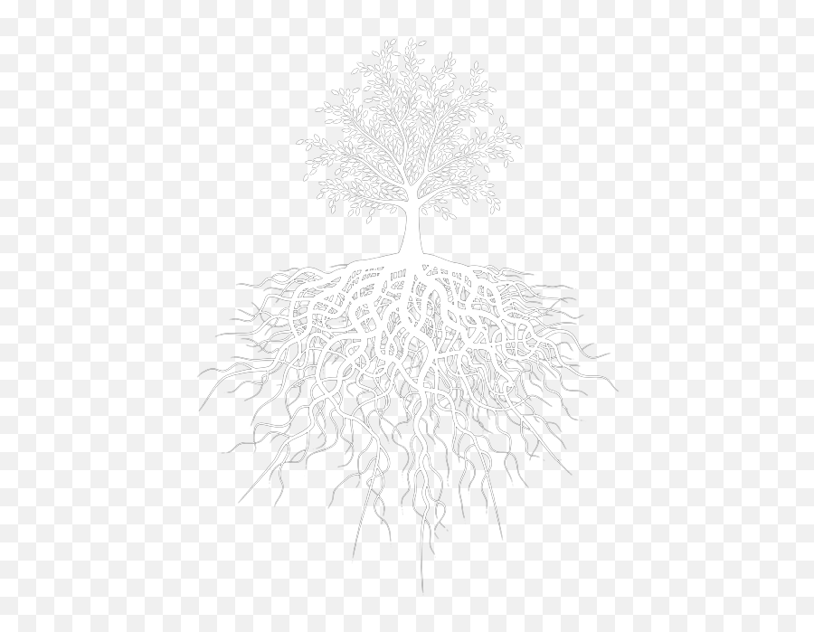 Download Hd Business Needs Roots - Us Capitol Grounds Png,Transparent Tree Images