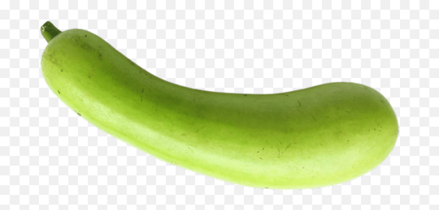 Bottle Gourd Png 5 Image - Bottle Gourd Transparent Background,Gourd Png