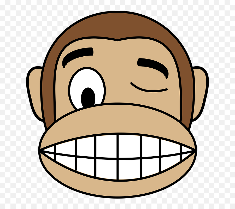 Face Monkey - Gambar Monyet Lucu Kartun Png,Wink Png