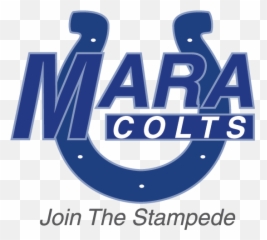 Registration Mara Colts Football - Clip Art Png,Colts Logo Png