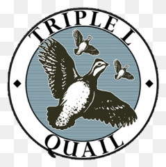 Home - Clip Art Png,Quail Png