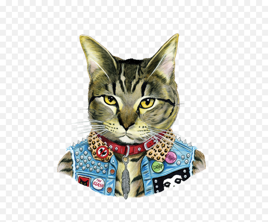 Cat Face - Berkley Cats Illustrations Png Download Animals Wearing Clothes Art,Cat Face Png