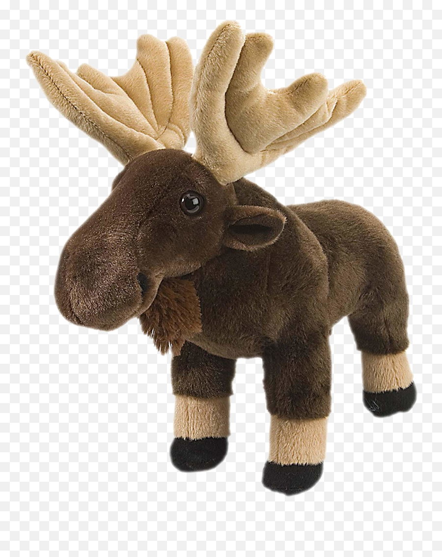 Plush - Moose 12 Moose Plush Png,Moose Png