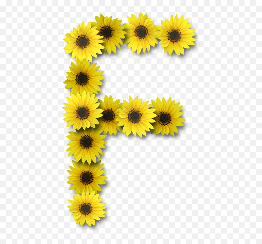 Lettering Alphabet Sunflower Wallpaper - Letter E Sunflower Png,Sunflower Emoji Png