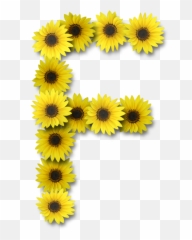 Lettering Alphabet Sunflower Wallpaper - Letter E Sunflower Png,Sunflower Emoji Png