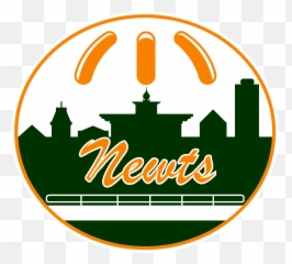 Newts Down The Mechanics To Advance Nlcs - New York Mets Wiffle Ball Team Logos Png,Mets Logo Png