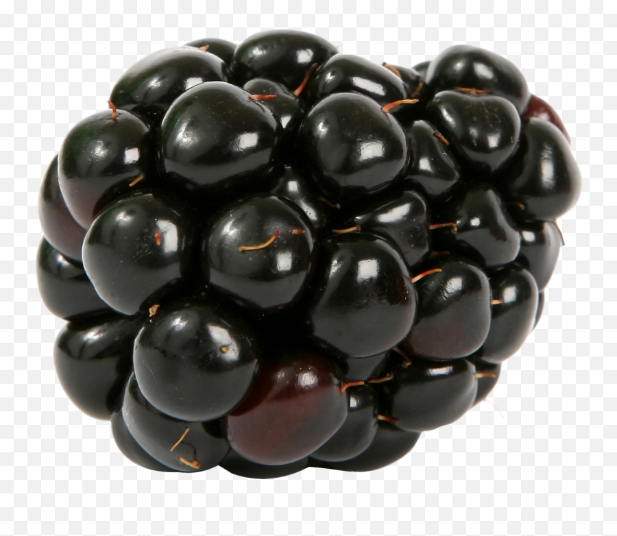 Download Blackberry Png Image For Free - Blackberries Transparent Background,Blackberries Png