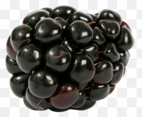 Download Blackberry Png Image For Free - Blackberries Transparent Background,Blackberries Png