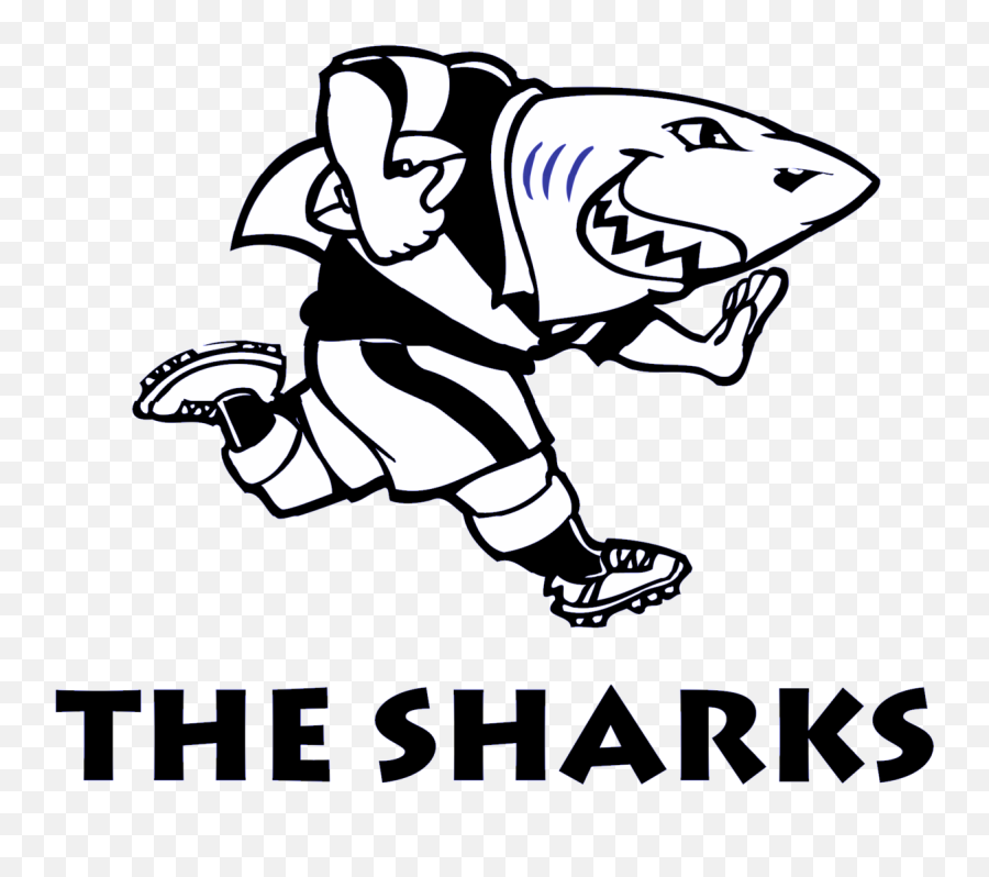 Sharks Rugby Logos - Sharks Rugby Logo Png,Shark Logo Brand
