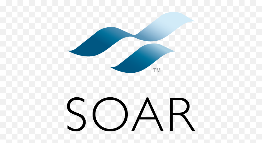 Brand Identity Soar - Colina Boards Png,Soar Logo Png