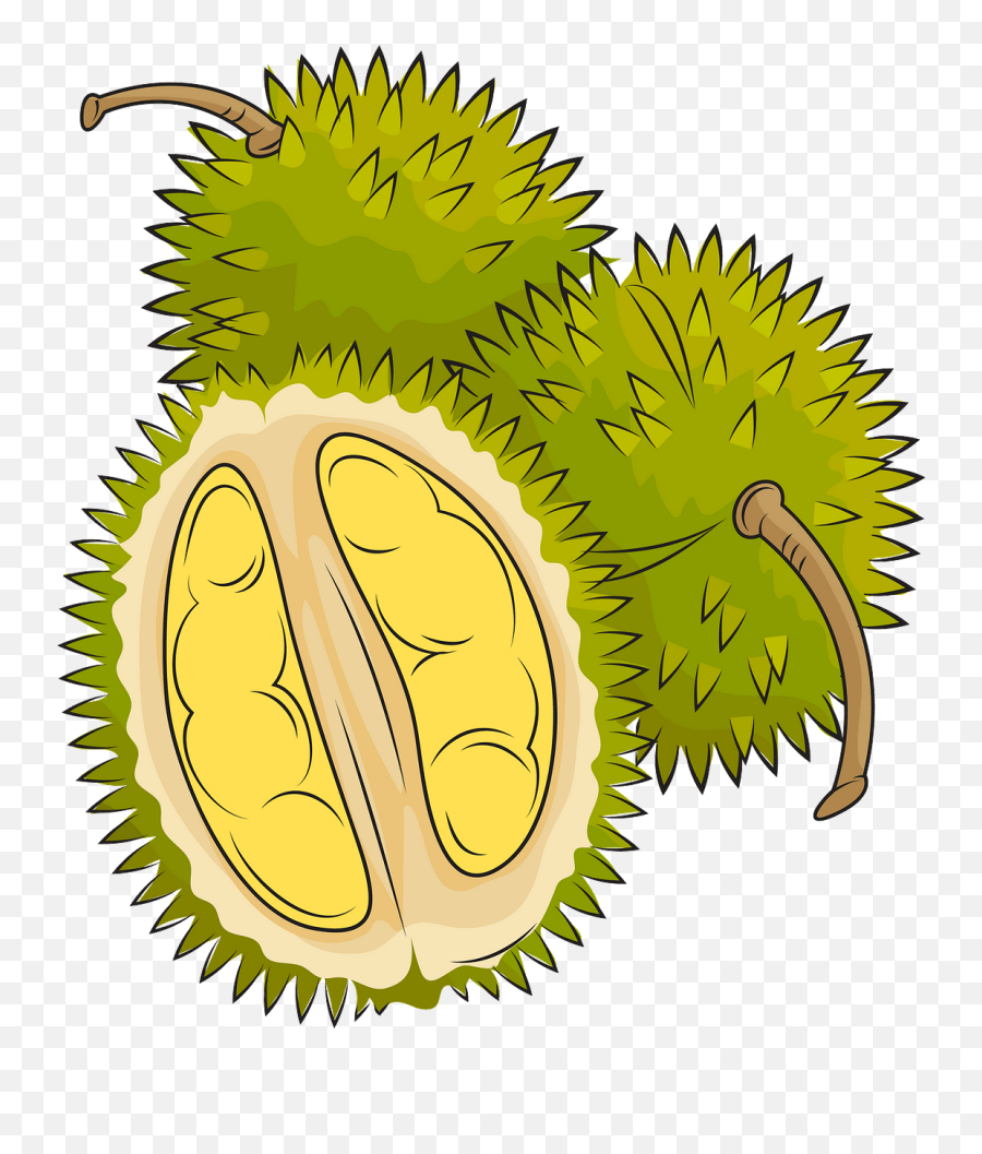 Durian Png Cartoon - Durian Clipart Hd,Durian Png