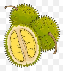 Durian Png Cartoon - Durian Clipart Hd,Durian Png