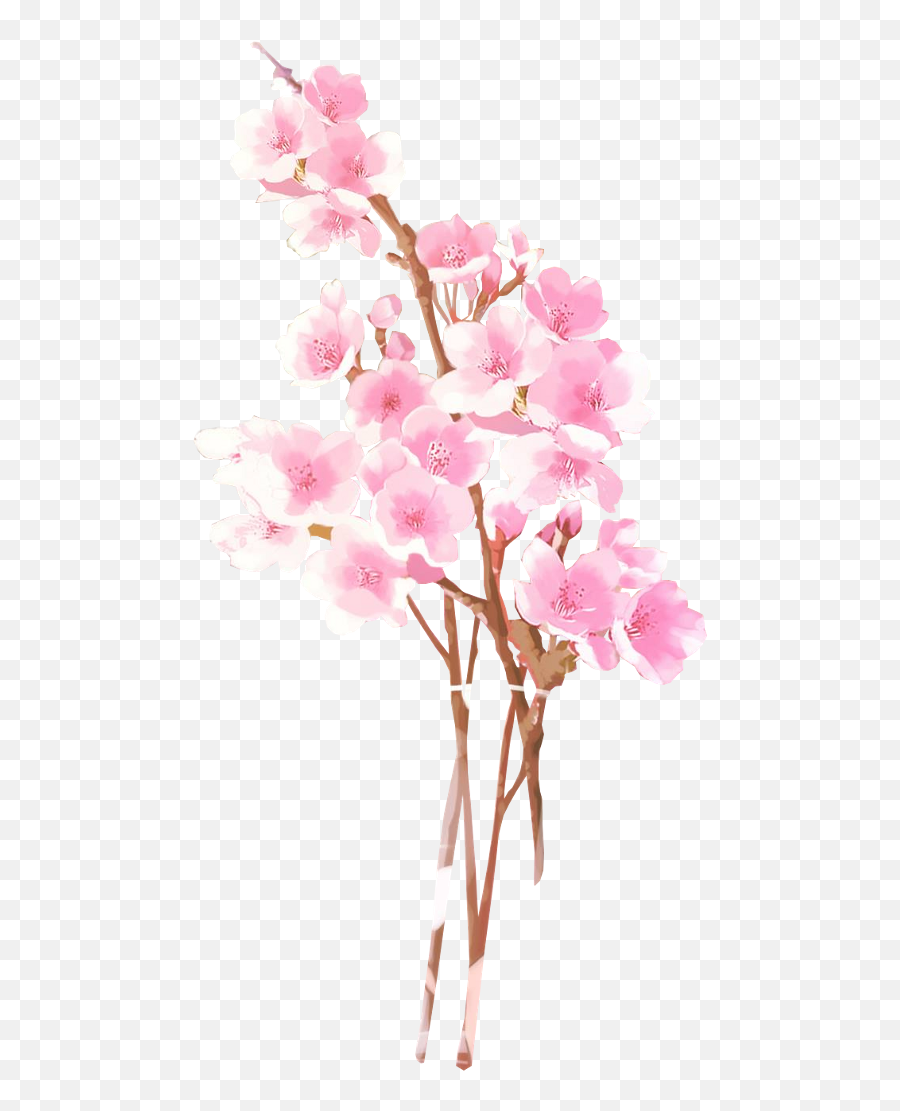 Png Free Anime Flower - Cherry Blossom Anime Png,Sakura Flower Png