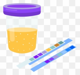 Nephrotic Syndrome - Icon Png