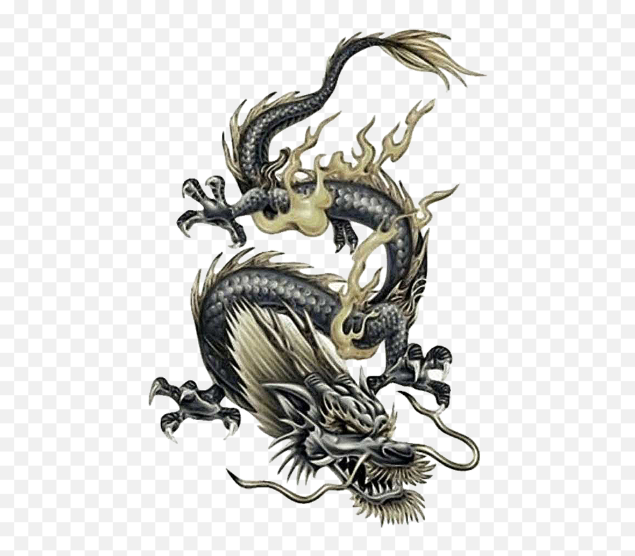 Download Tattoo Japanese Chinese Dragon Free Frame Clipart - Design Dragon Tattoo Png,Chinese Dragon Transparent
