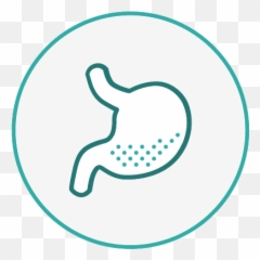 L Glutamine Glucosamine Vitamin D Gut Health Supplement - Dot png